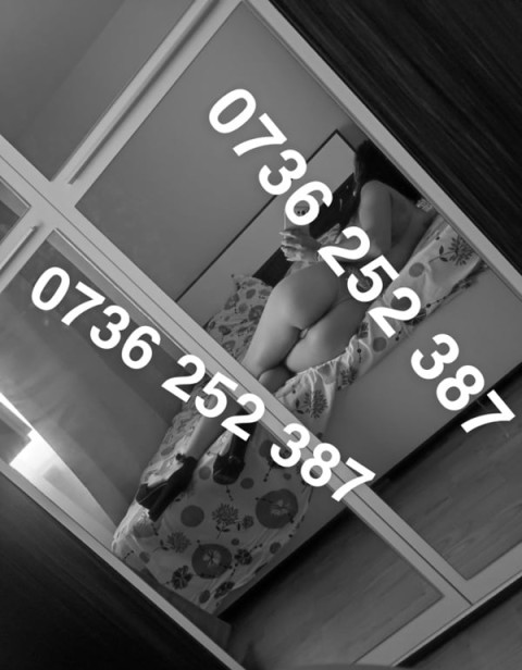 Numere de telefon curve bacau