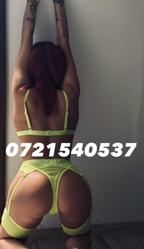 Preturi escorte – curve platite